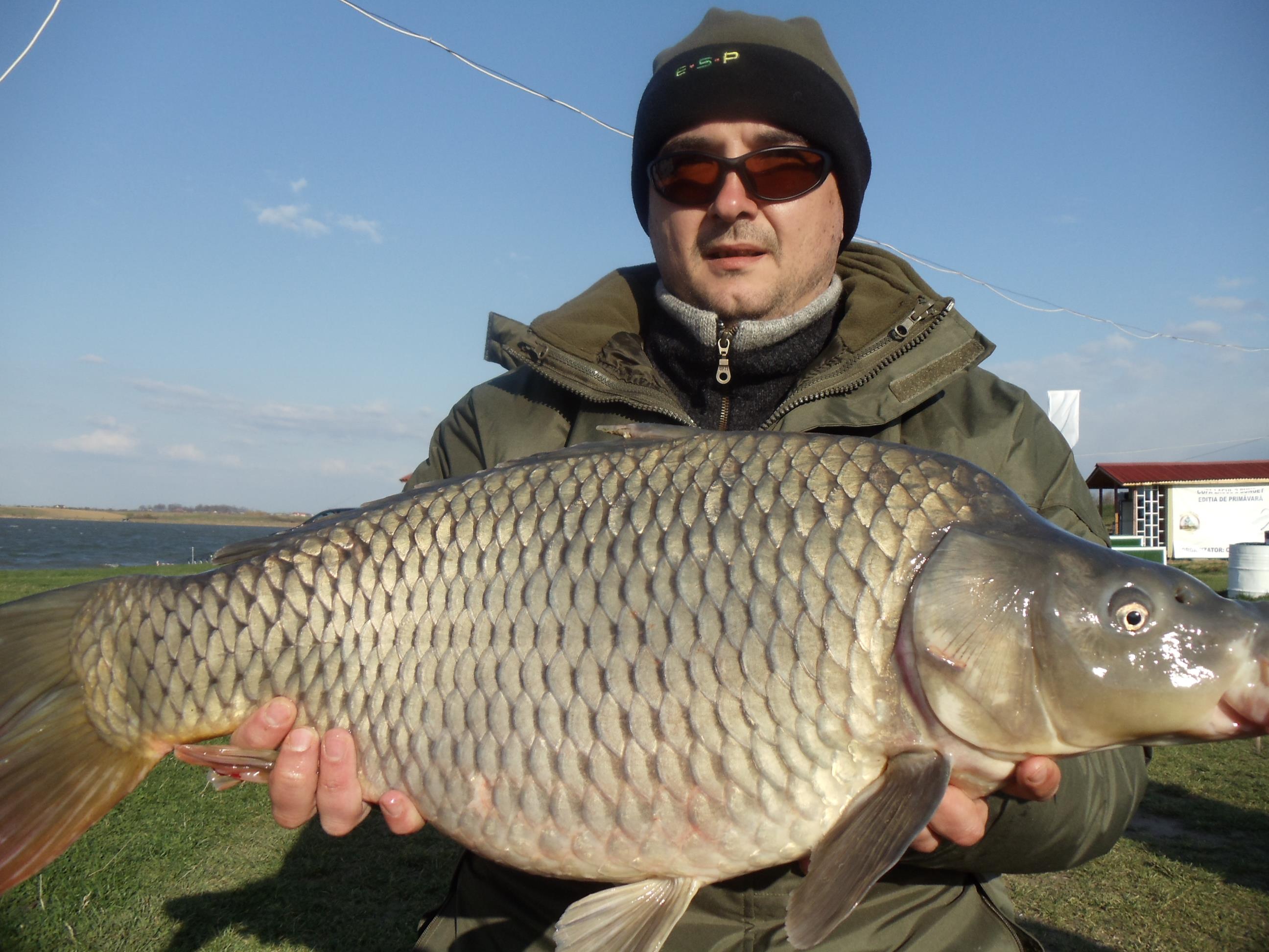 Cupa Primaverii Bunget 2011 - DSC01610.JPG